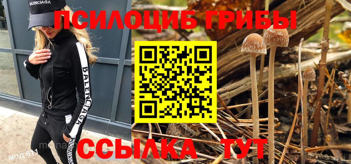Галлюциногенные грибы MAGIC MUSHROOMS Гусиноозёрск